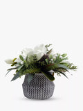 John Lewis Artificial Magnolia Pine Cone in Cement Planter