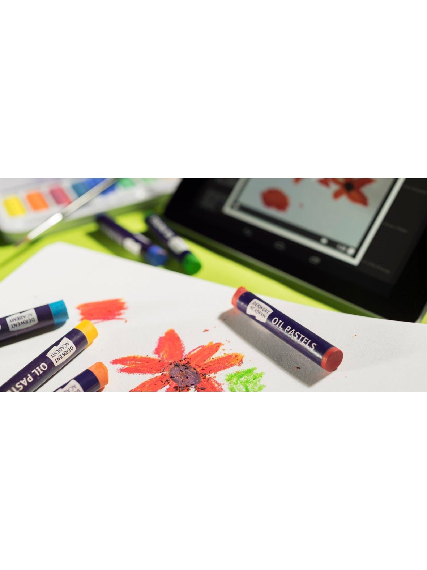 Derwent Academy oil pastels pack of 12 - British product
