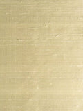 Designers Guild Chinon Plain Silk Furnishing Fabric 135cm