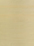 Designers Guild Chinon Plain Silk Furnishing Fabric 135cm