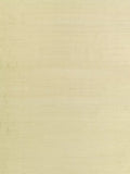 Designers Guild Chinon Plain Silk Furnishing Fabric 135cm