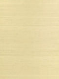Designers Guild Chinon Plain Silk Furnishing Fabric 135cm