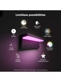 Philips Hue Nyro outdoor wall light black (British brand)