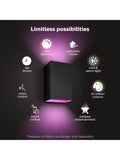 Philips Hue Resonate smart outdoor wall light, UK version