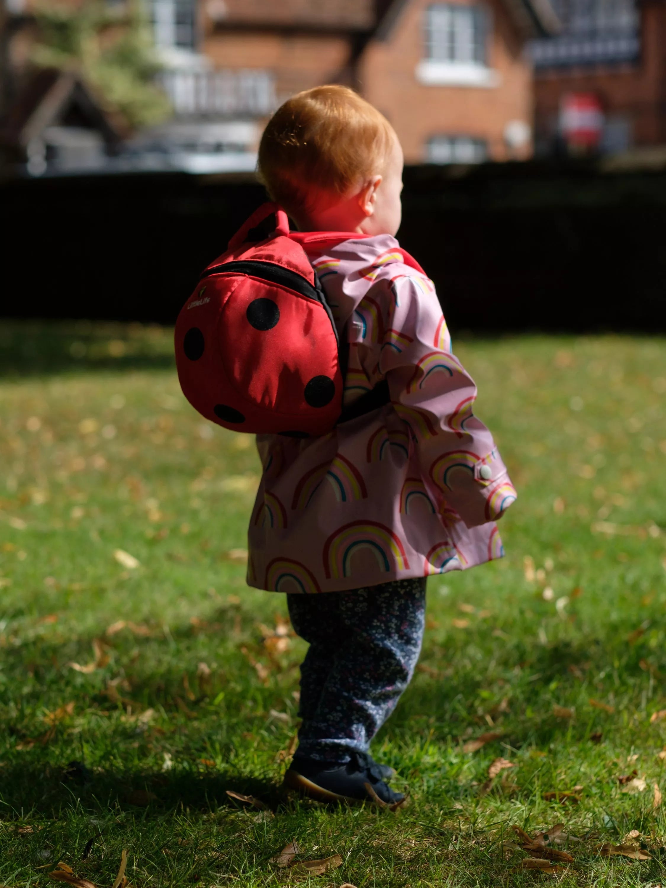 LittleLife red Ladybird toddler backpack with safety harness, UK version