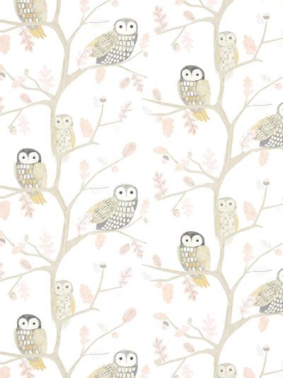 Harlequin Little Owls Wallpaper - Hltf112628