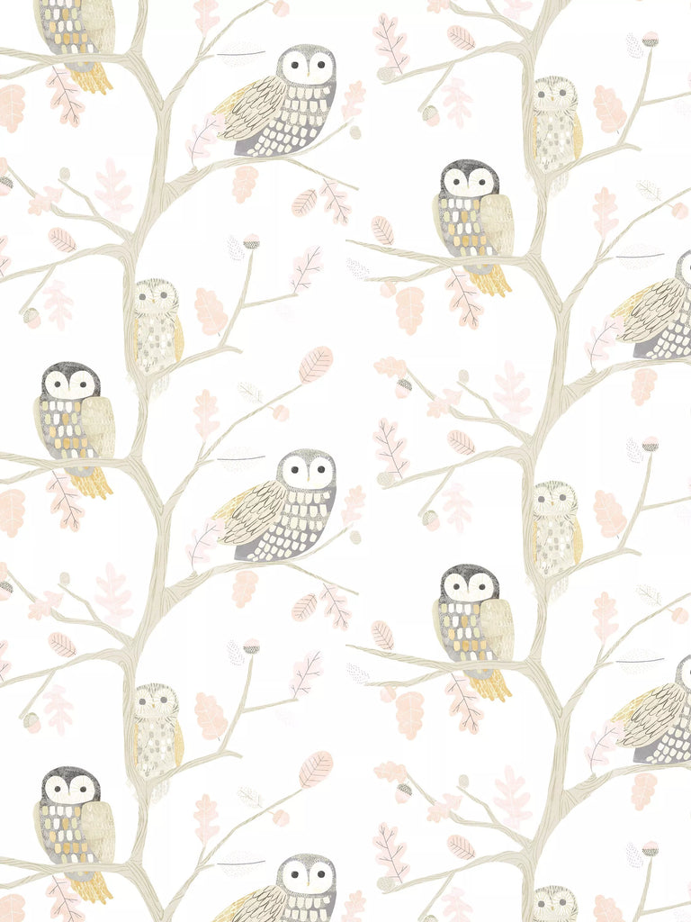 Harlequin Little Owls Wallpaper