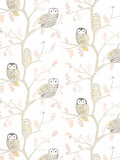 Harlequin Little Owls Wallpaper