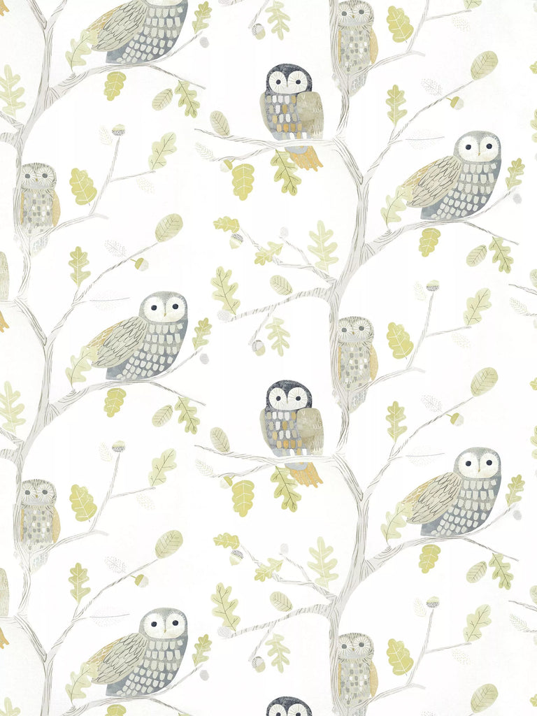 Harlequin Little Owls Wallpaper