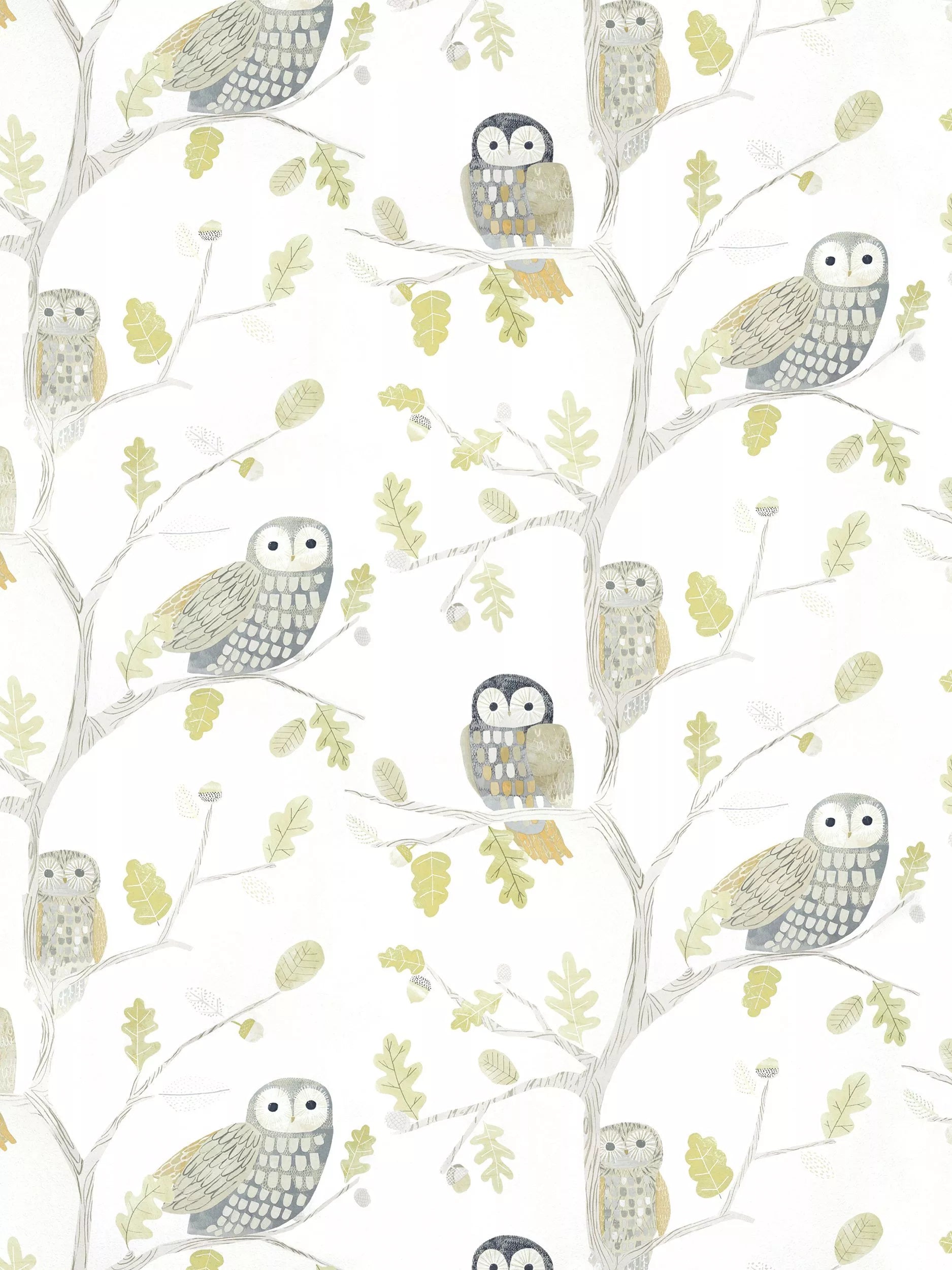 Harlequin Little Owls Wallpaper, HLTF112627