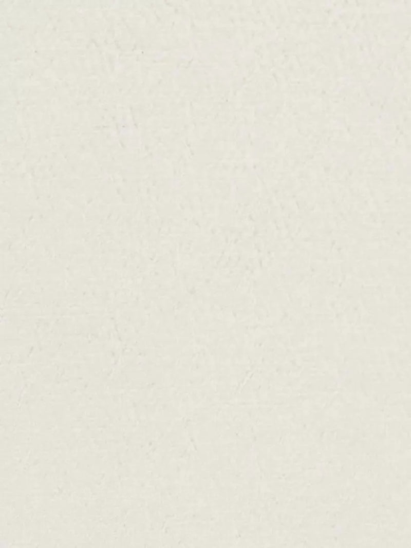 Designers Guild Anshu Alta furnishing fabric 282cm (British brand)