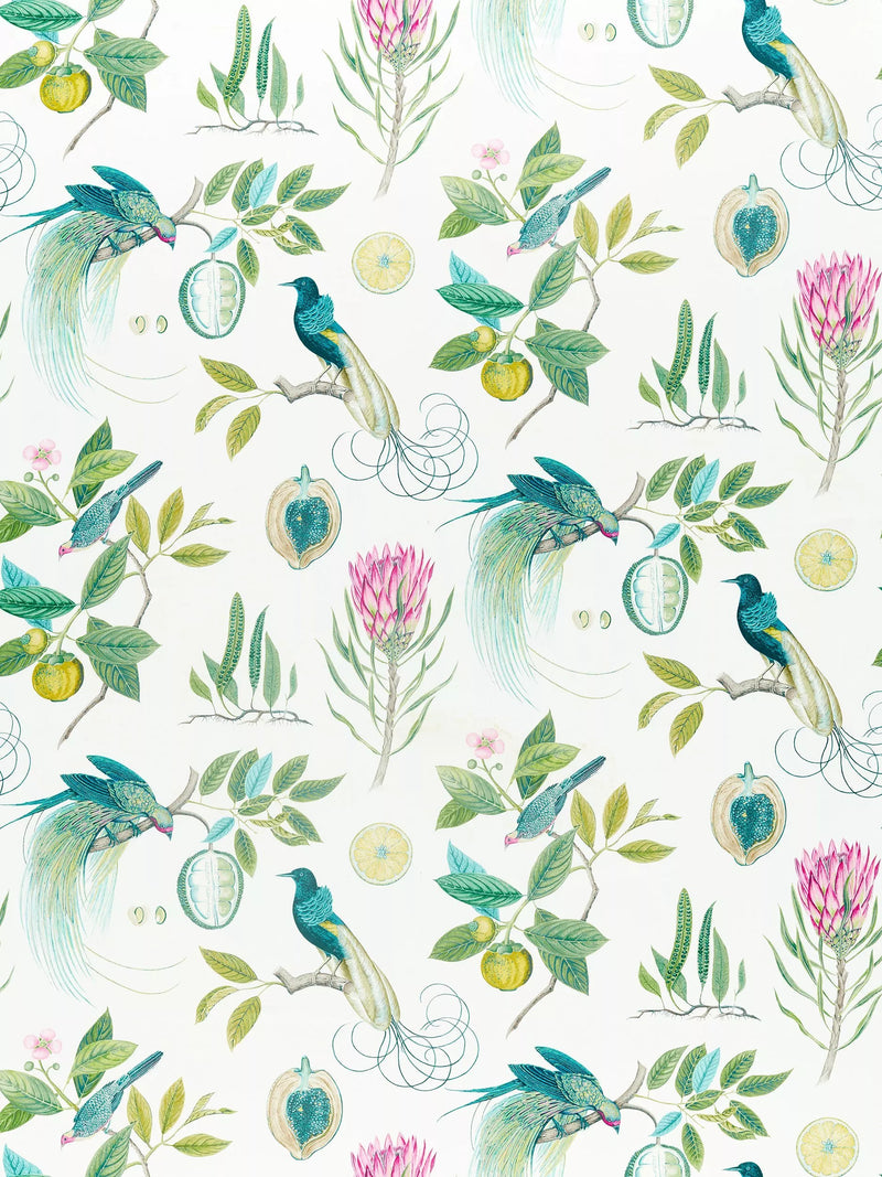 Sanderson Paradesia Furnishing Fabric