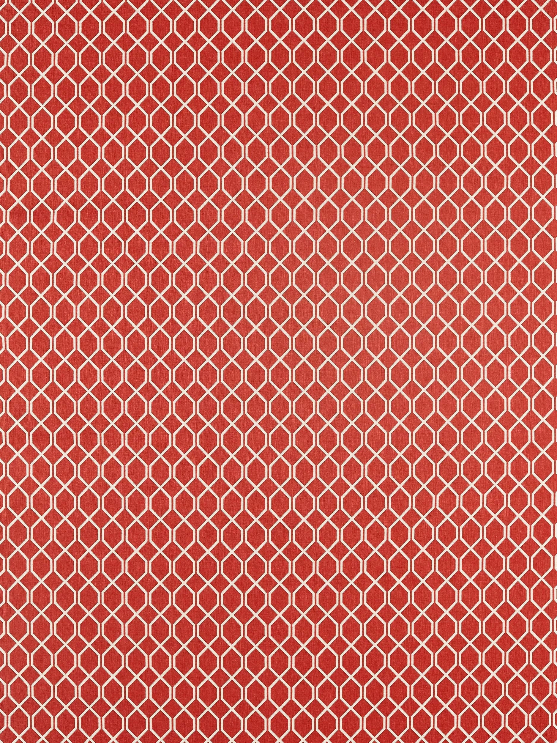 Sanderson Botanic Trellis Furnishing Fabric, Blue Clay