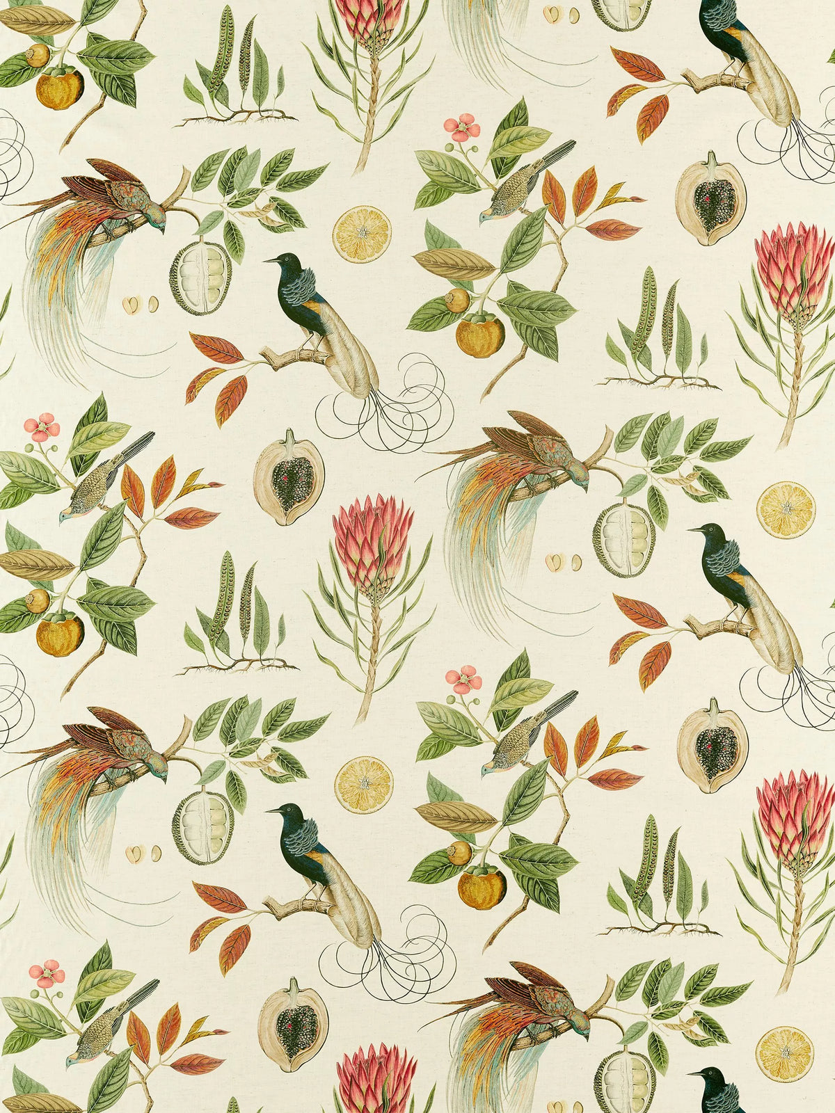 Sanderson Paradesia furnishing fabric with tropical bird of paradise pattern, UK version