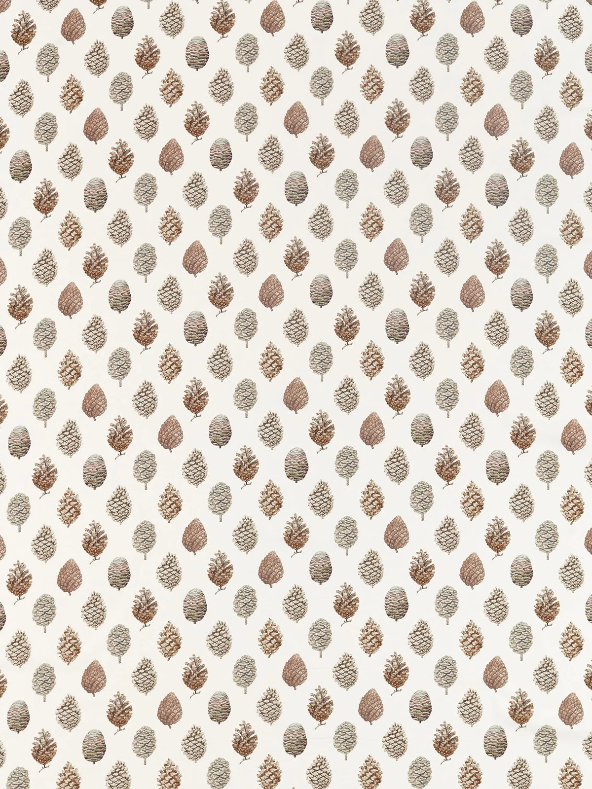Sanderson pine cones cotton fabric 139cm, UK version