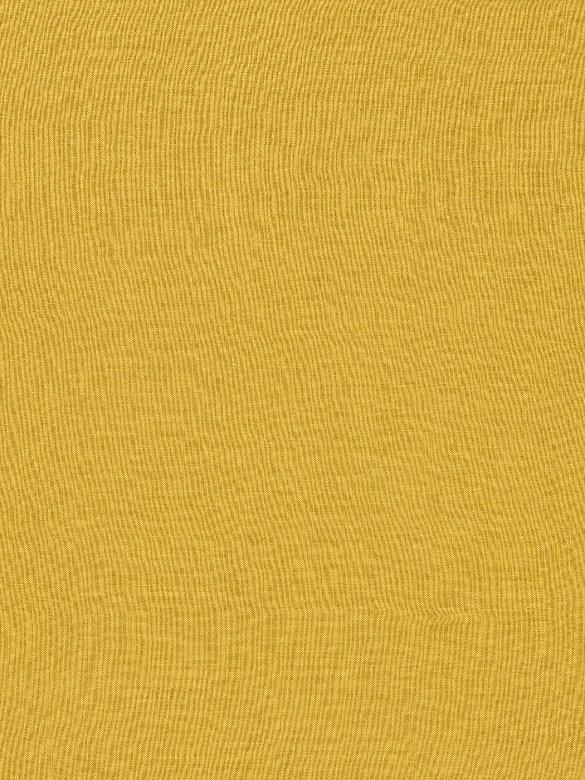 Morris & Co. Ruskin Weaves Furnishing Fabric