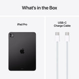 Apple iPad Pro 11 inch 2TB - British product