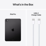 Apple iPad Pro 11 inch 2TB - British product