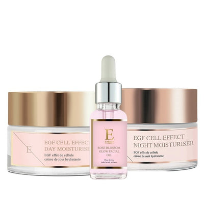 ErthSkin EGF Day Night Moisturizer & Rose Oil Skincare Set 30ml