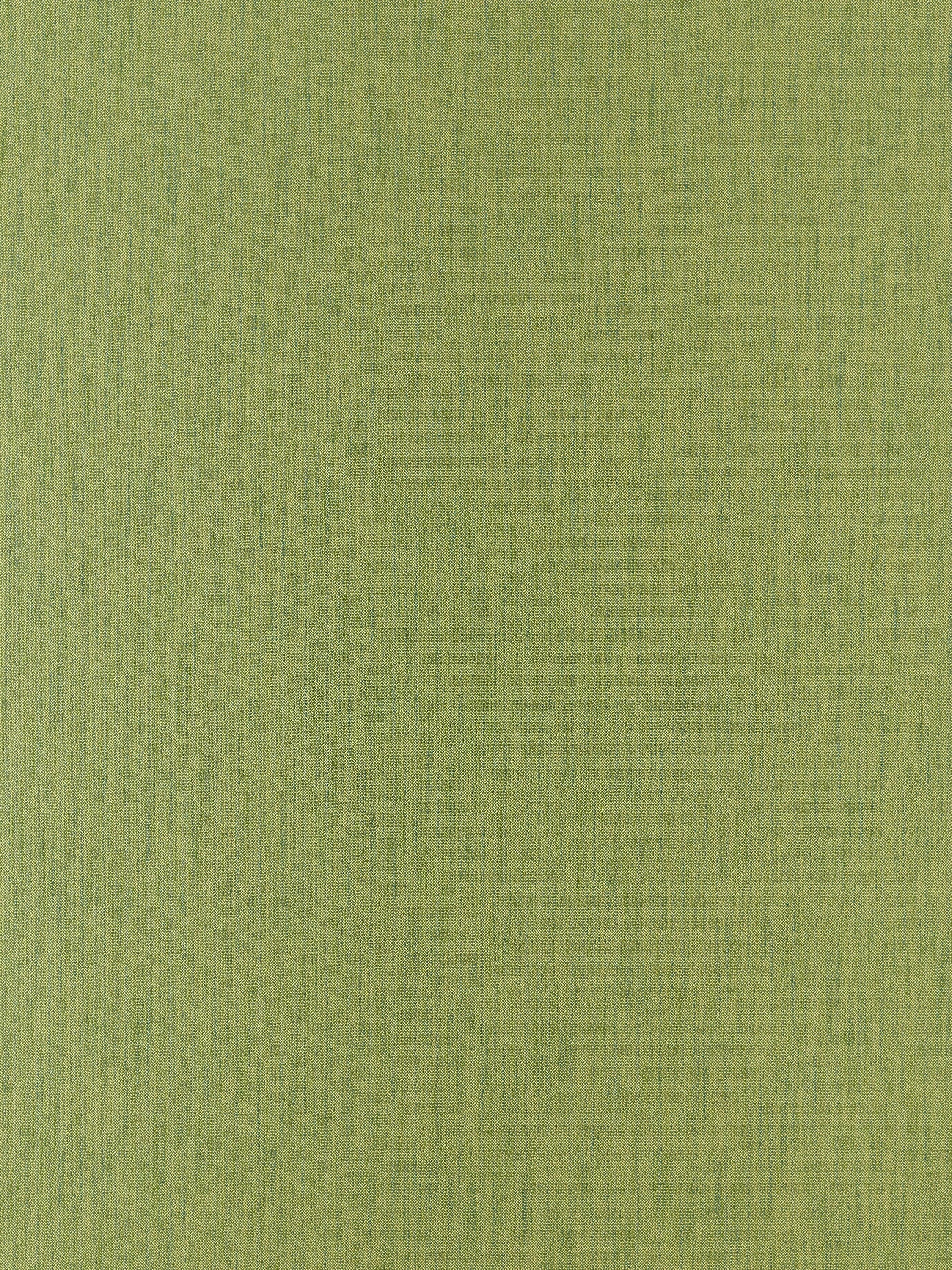 Sanderson Darter Furnishing Fabric 142cm