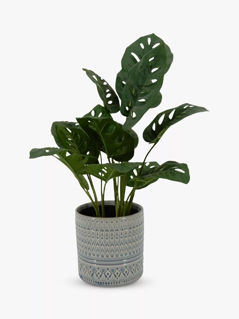 indoor plants john lewis John Lewis Artificial Monstera in Ceramic Pot – McGrocer