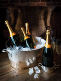 Culinary Concepts Palace Champagne Bottle Cooler - British product