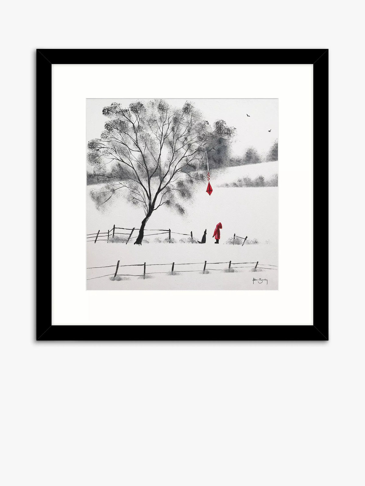 John Lewis Adam Barsby framed print Red Kite 54.5cm, UK version
