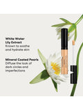 bareMinerals mineral liquid concealer Original 6ml, UK version