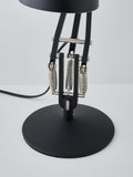 Anglepoise Type 75 Mini Desk Lamp, imported from the UK