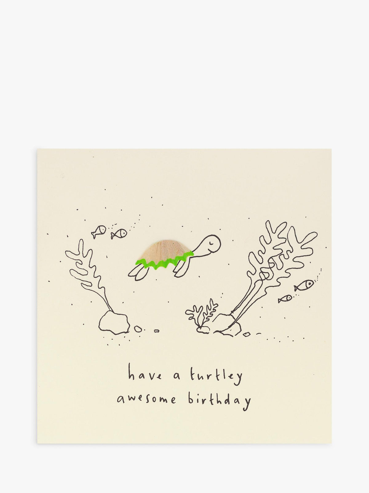 Ruth Jackson Turtle Birthday Card