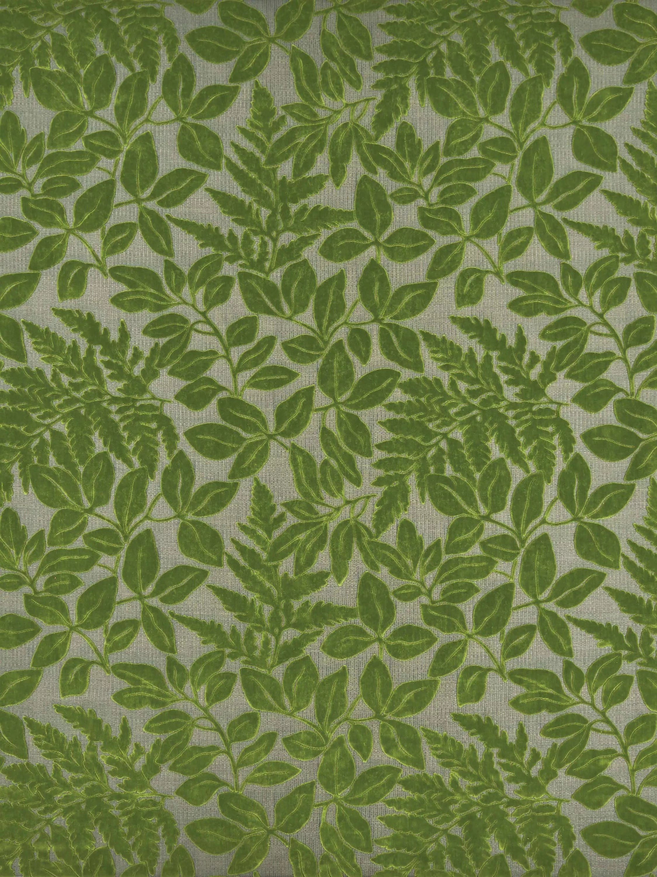 Osborne & Little Donwell velvet jacquard fabric, imported from the UK