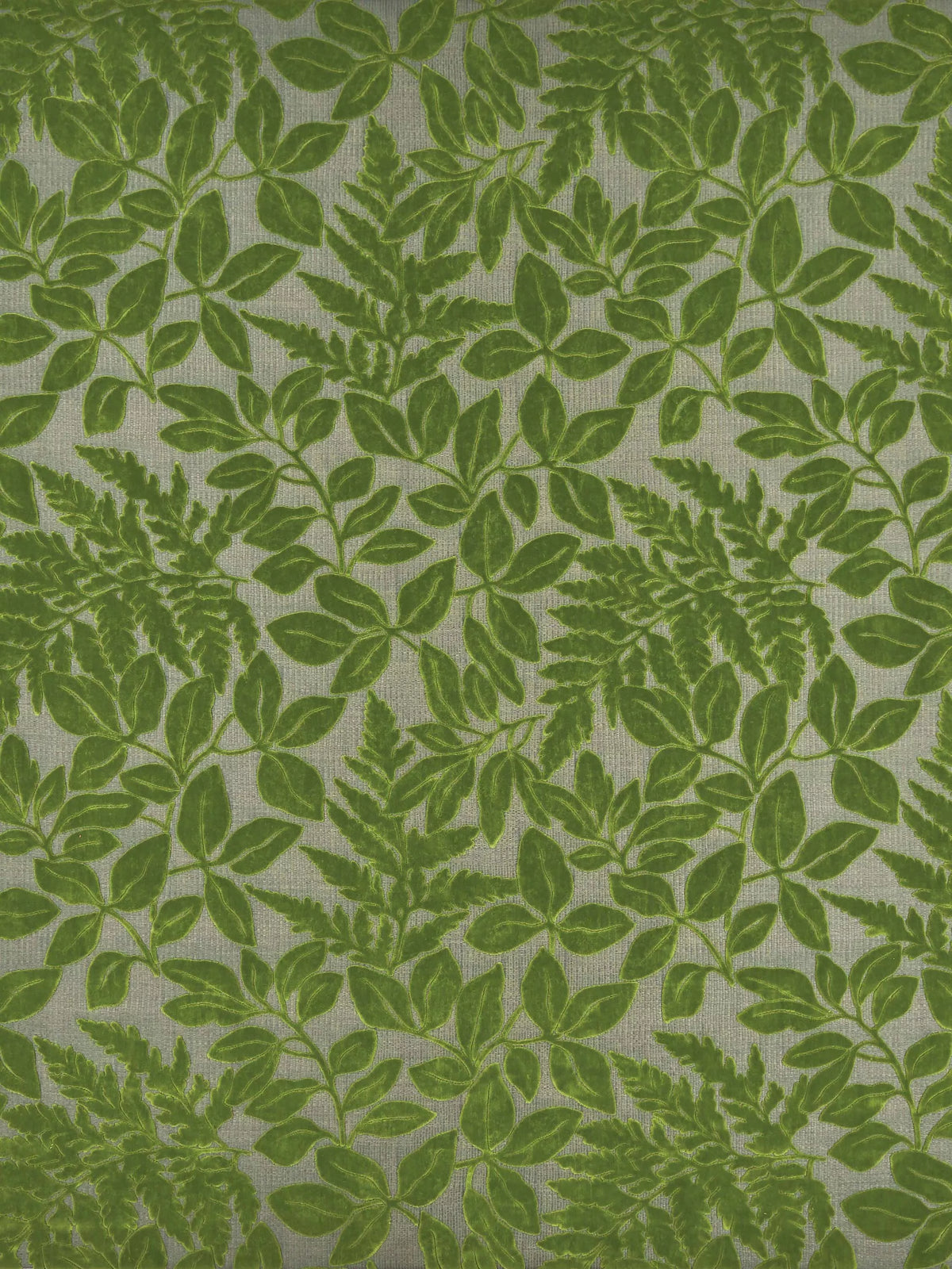 Osborne & Little Donwell velvet jacquard fabric, imported from the UK