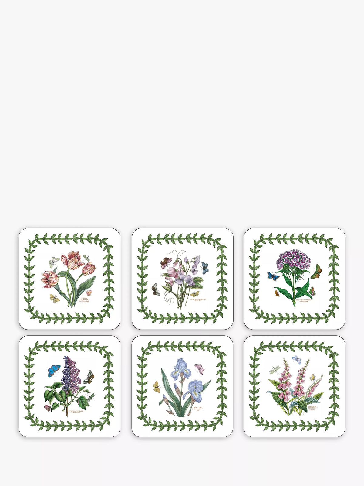Portmeirion Botanic Garden 6-piece placemat and coaster set, imported from the UK