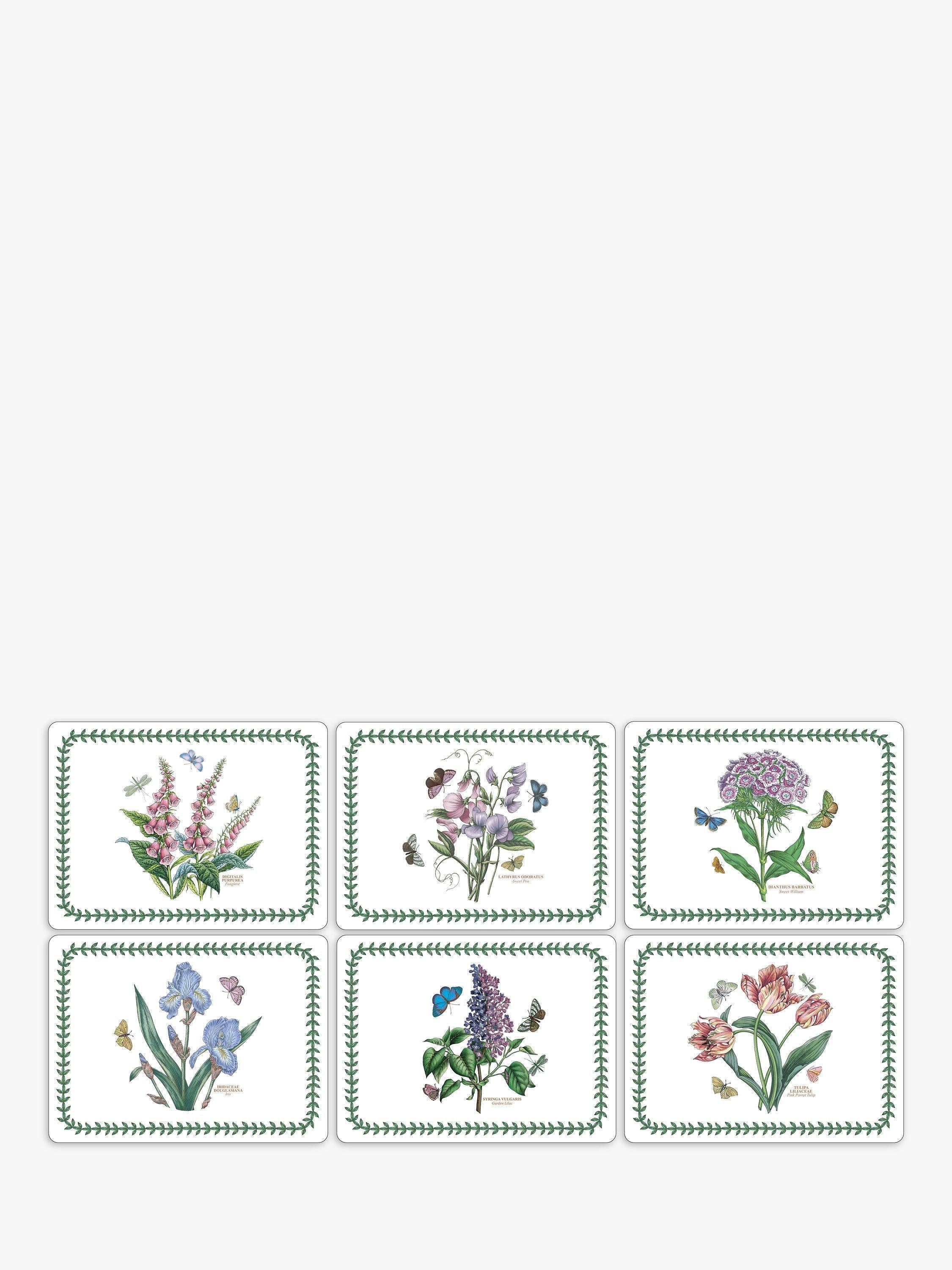 Portmeirion Botanic Garden 6-piece placemat and coaster set, imported from the UK