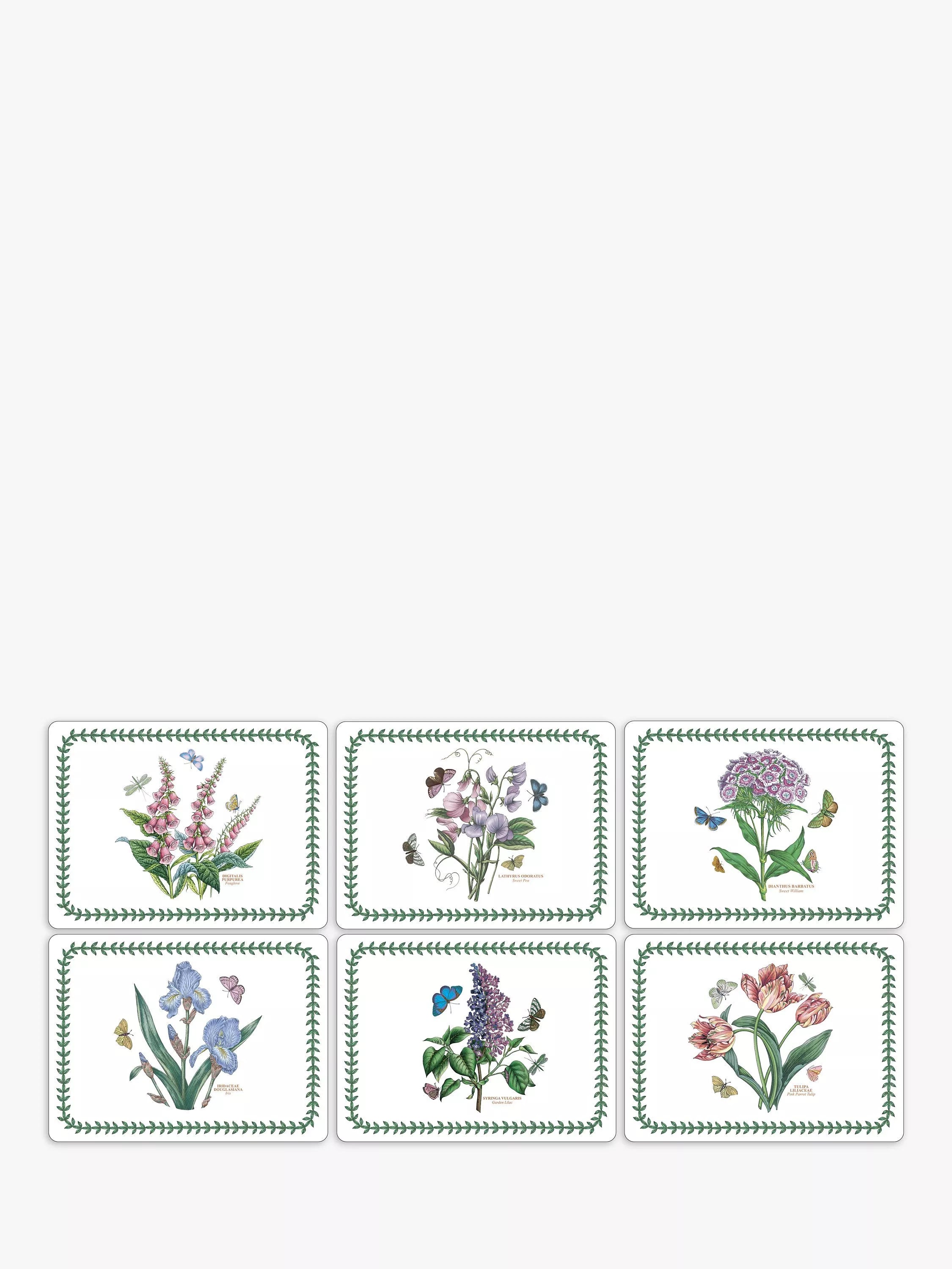 Portmeirion Botanic Garden 6-piece placemat and coaster set, imported from the UK