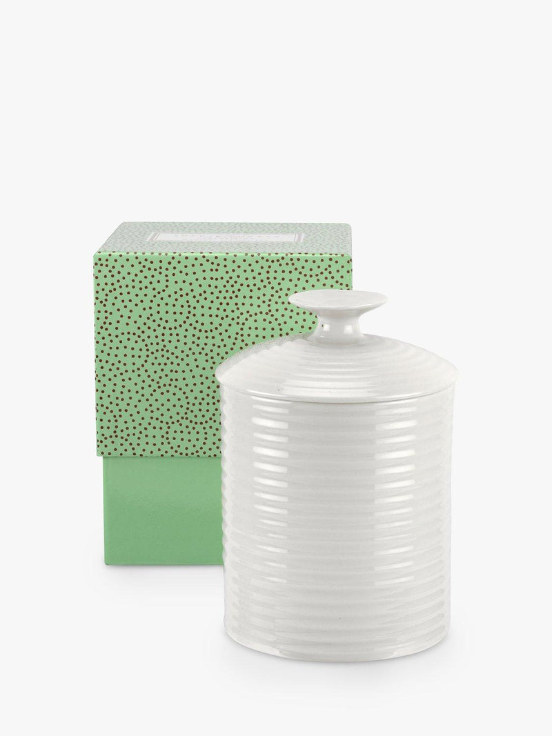 Sophie Conran Portmeirion white porcelain jar set (British brand)