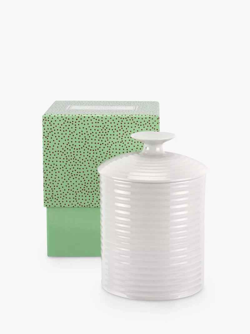 Sophie Conran Portmeirion white porcelain jar set (British brand)
