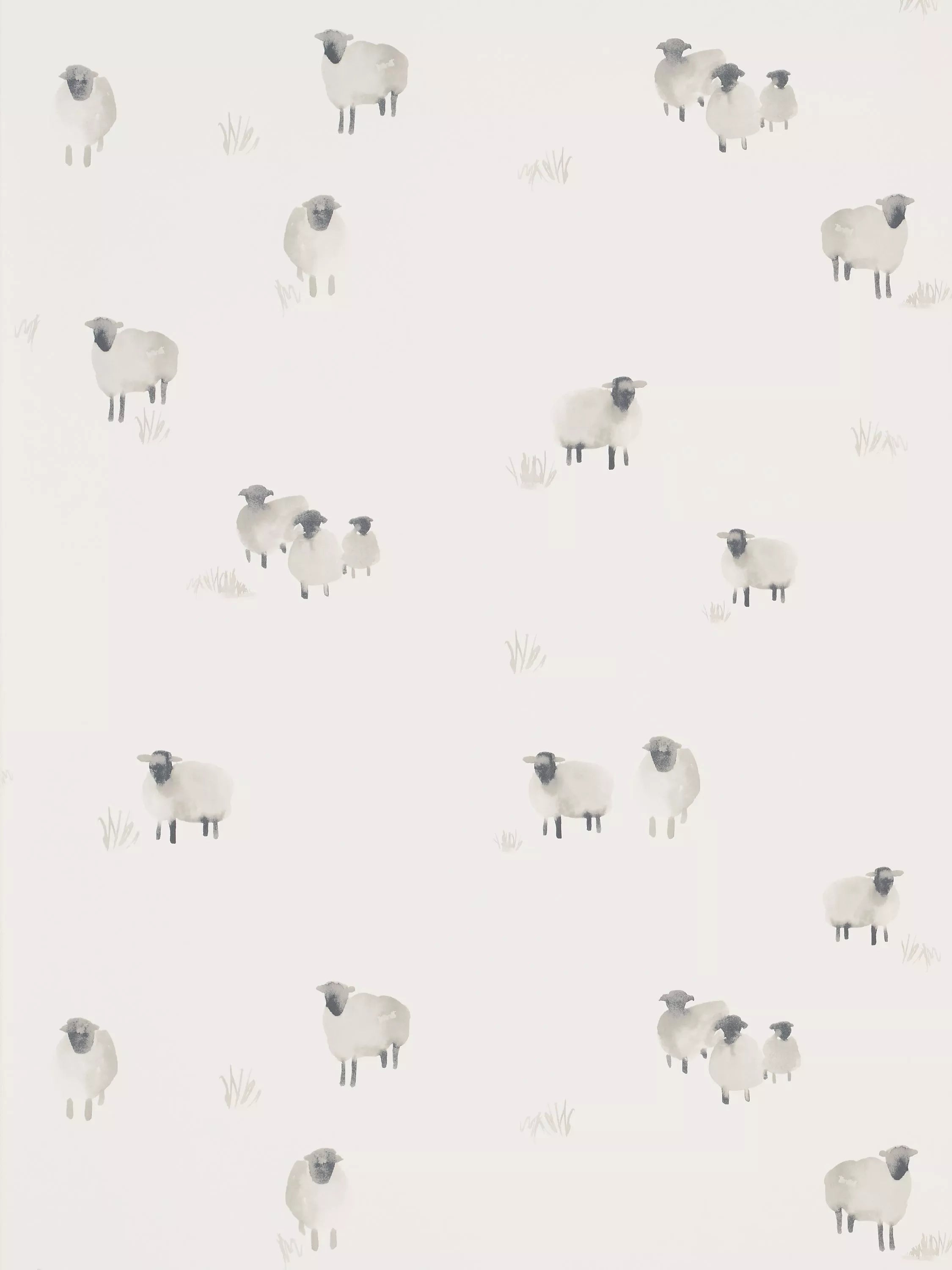 John Lewis Highland Sheep Wallpaper Design , UK version