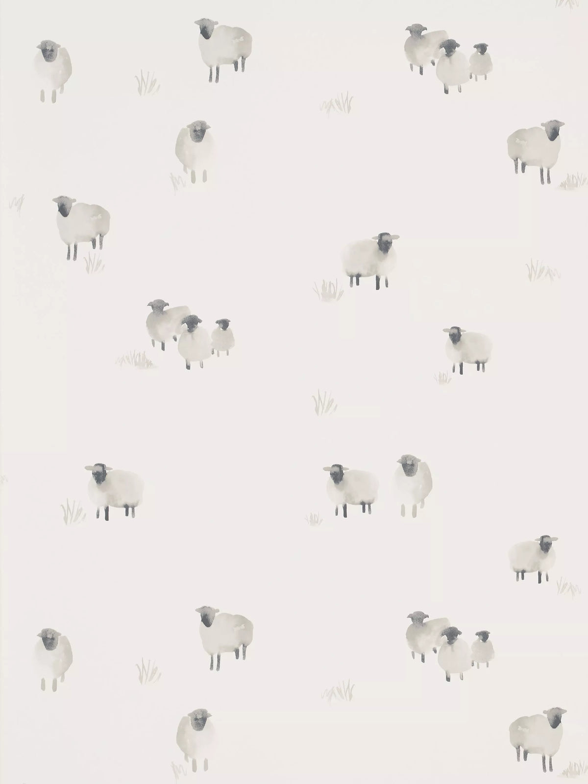 John Lewis Highland Sheep Wallpaper Design , UK version