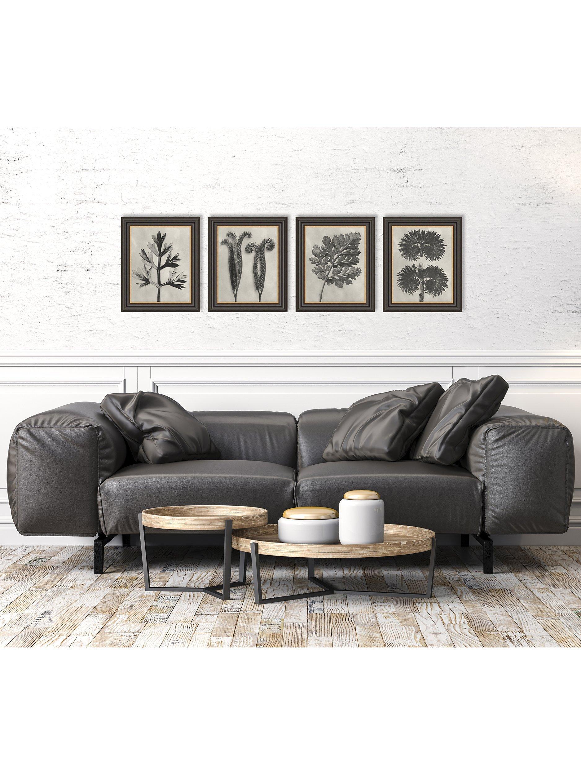 Karl Blossfeldt botanical framed prints set of 4, UK version