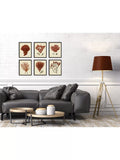 John Lewis Red Coral set 6 framed prints 32x26cm - British product