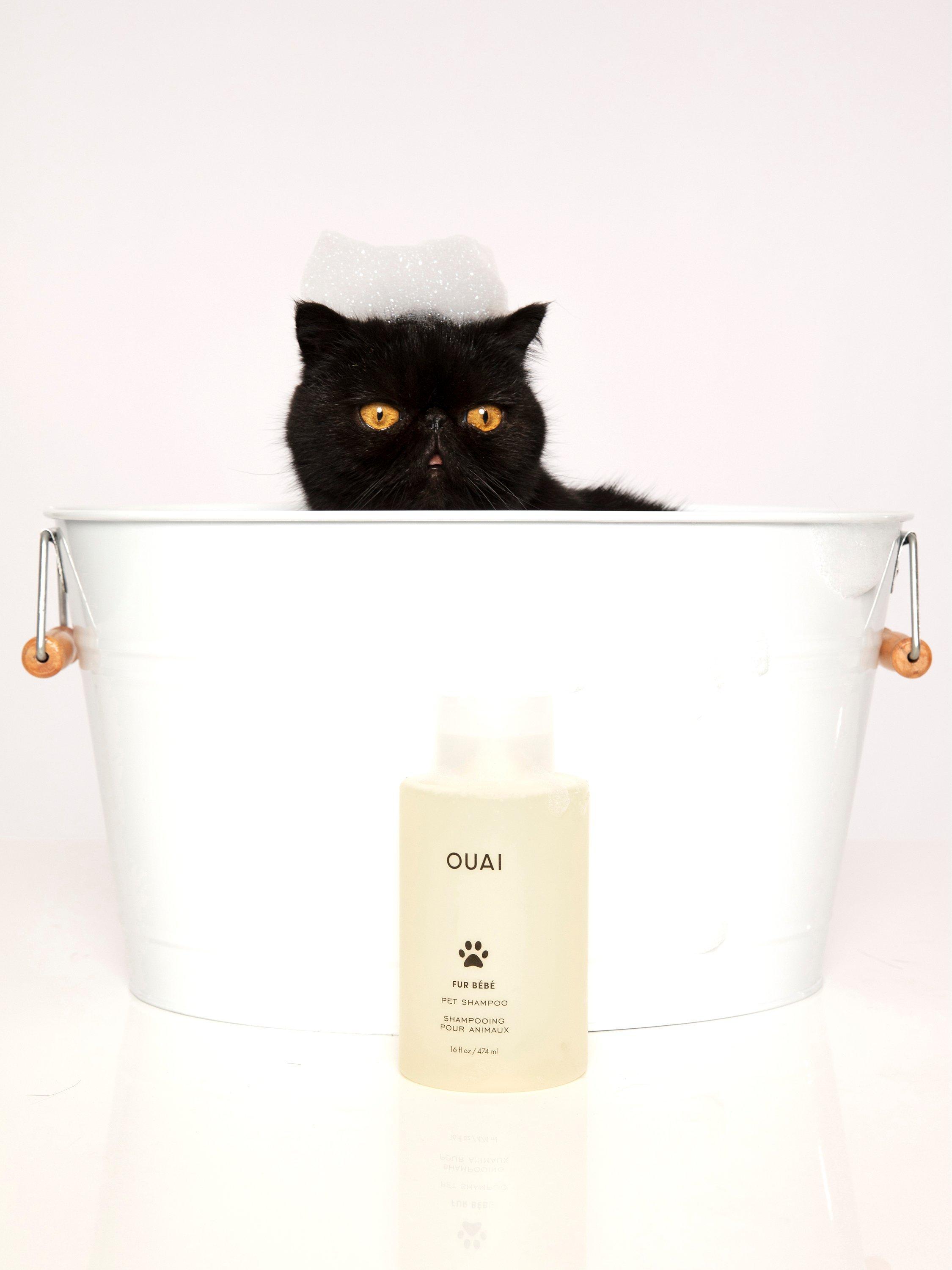 OUAI Fur Bébé Pet Shampoo 474ml, imported from the UK