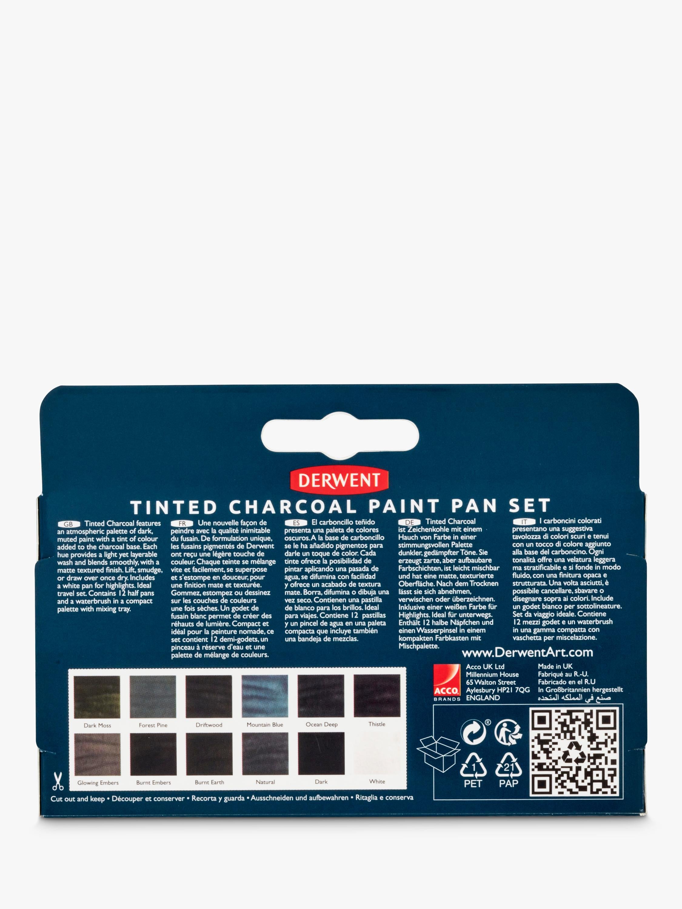 Derwent Charcoal Paints Set Pack of 12 - British product
