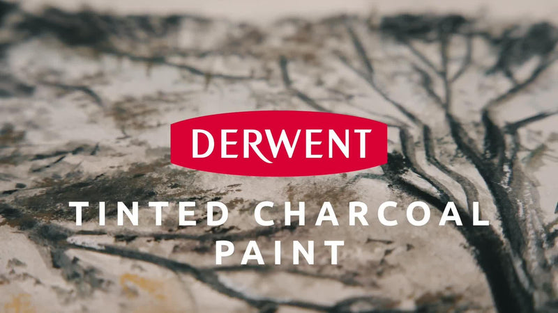 Derwent Charcoal Paints Set Pack of 12 - British product