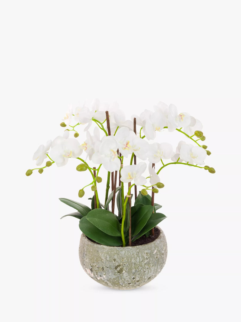 Floralsilk Artificial White Orchid in Clay Pot