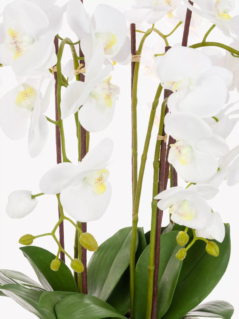 Floralsilk artificial white orchid in clay pot - British product