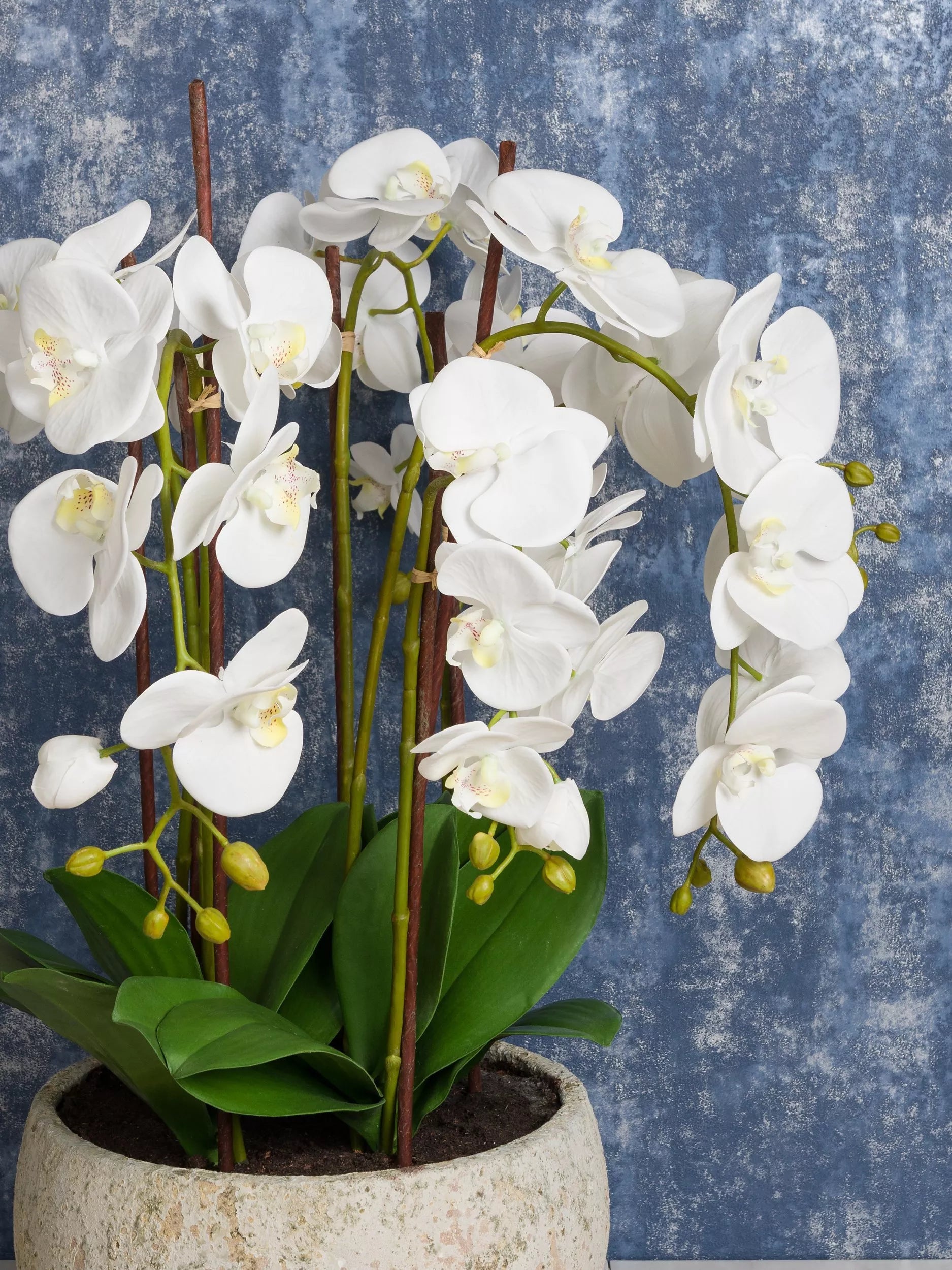 Floralsilk artificial white orchid in clay pot - British product
