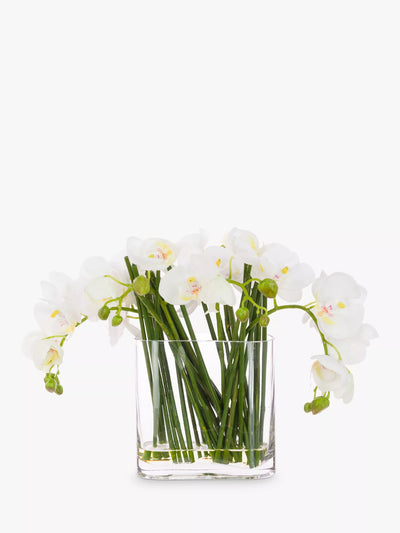 John Lewis Floralsilk Artificial Contemporary Phalaenopsis Orchid in Glass Vase