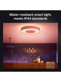 Philips Hue Xamento large white flush ceiling light (British brand)
