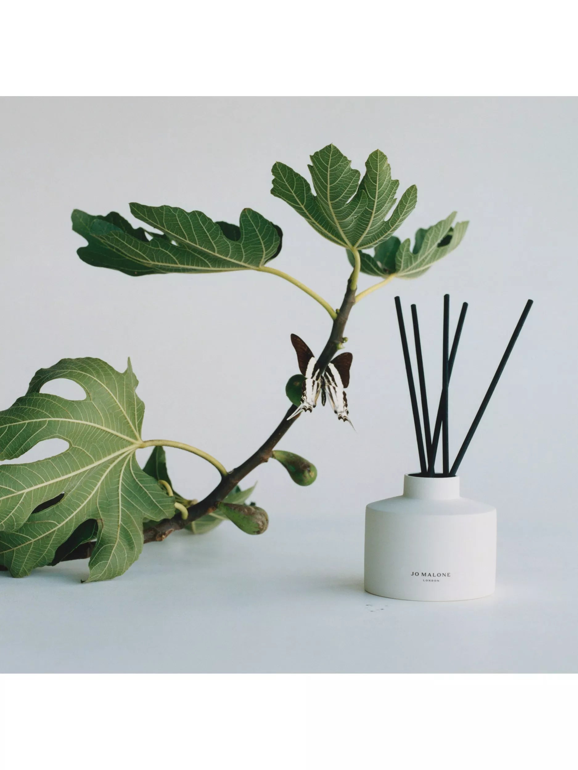 Jo Malone London Fresh Fig & Cassis reed diffuser with refill 350ml, UK version